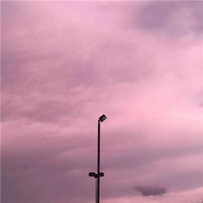 单机的打鱼游戏下载手机版